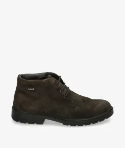 Botas Igi&Co6604522 en serraje marrón