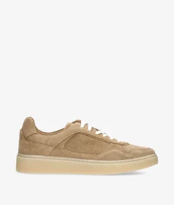 Deportivos Hobb'sA4706A0703HOBBS-7 en serraje taupe