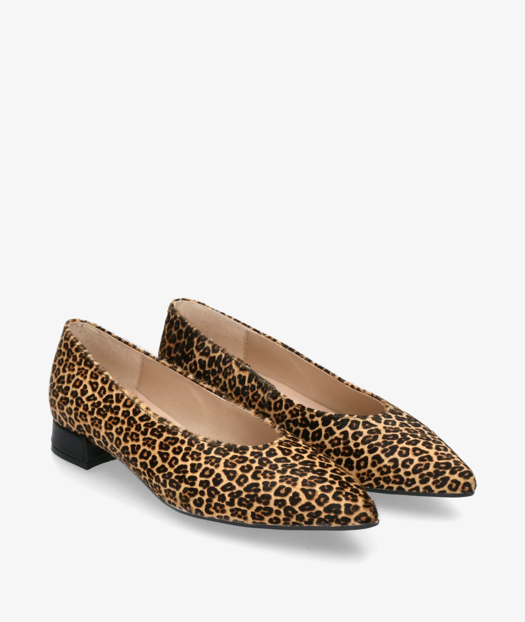 Salones bloom&you DAFNE en leopardo